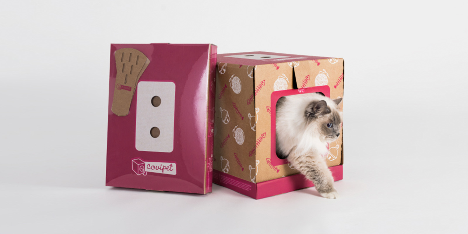 Caja con una ventana, un gato asomando la cabeza y la pata delantera izquierda. Versión compacta de la misma caja color magenta con el logo de Covipet.