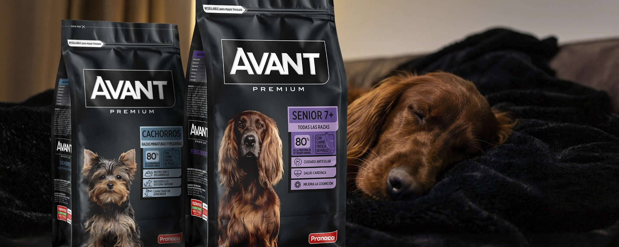 Packaging Avant Pronaca Perros: Diseño de packaging Avant Premium para perros cachorros y senior con fotografía de producto de alta calidad. Por Tridimage