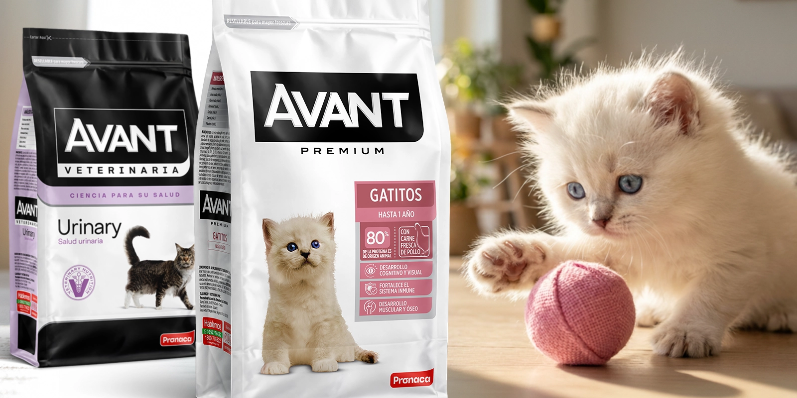 Packaging Avant Pronaca Gatos: Envases de alimento balanceado Avant para gatitos y salud urinaria junto a un gato blanco jugando.