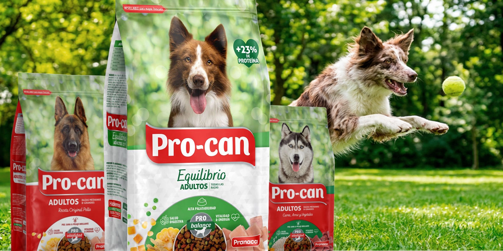 Envases de Pro-can Equilibrio para perros adultos en un entorno natural con perro jugando al aire libre.